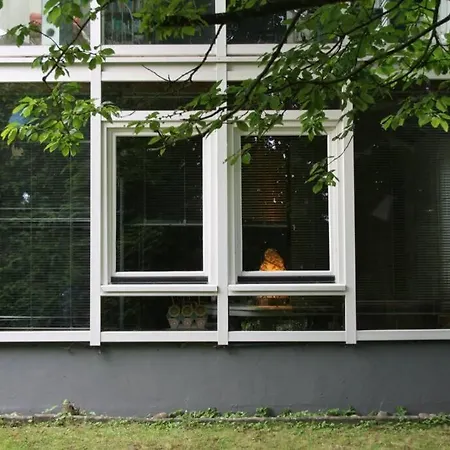 Gemütliches großzügiges Apartment Höhr-Grenzhausen Exterior foto